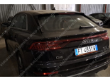2019 Audi Q8, Dyzelinas